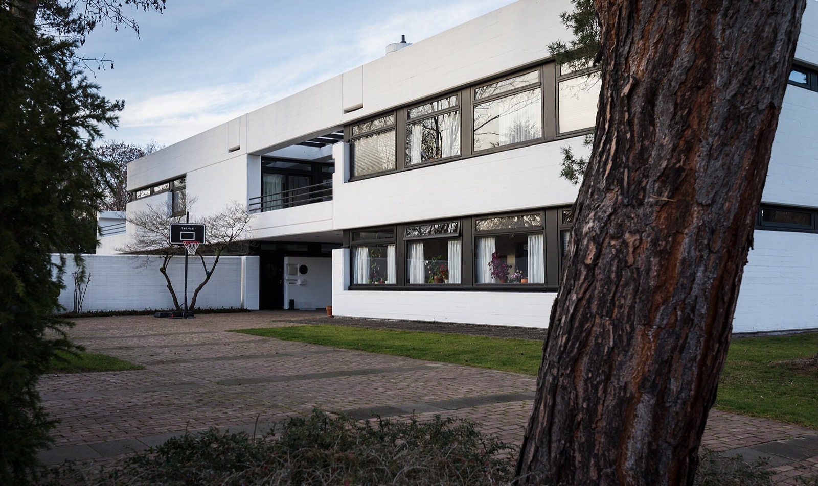Moderner weißer Flachdachbau mit umlaufenden Bandfenstern am Zehnpfennigshof in Köln-Hahnwald, davor Rasenfläche und alter Kiefernstamm