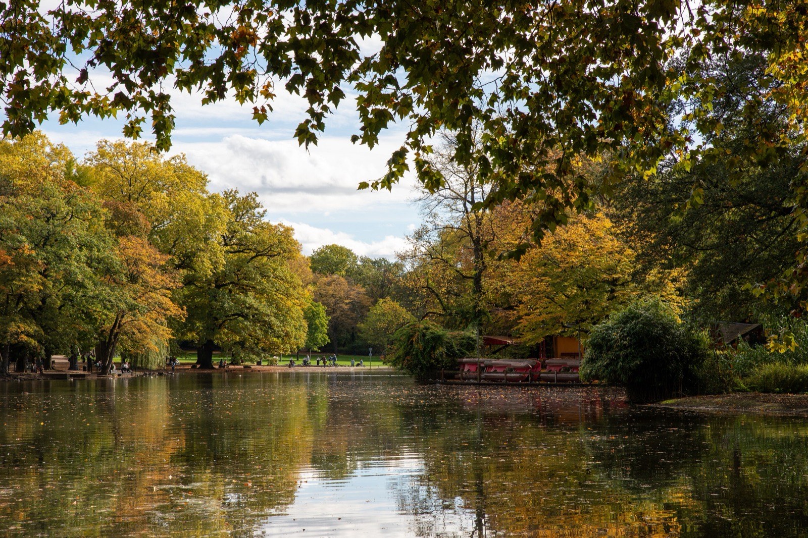 Der Weiher im Kölner Volksgarten im Herbst, umgeben von Bäumen mit gelbem und grünem Laub