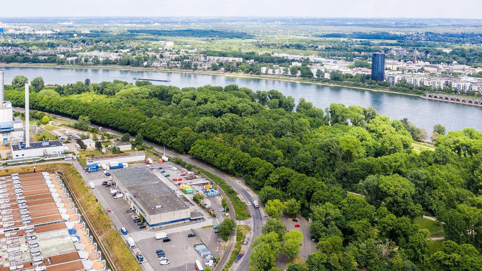 Luftbild von Köln-Niehl: das bewaldete Cranachwäldchen am Rhein, links Gewerbeflächen, gegenüber die Wohnbebauung am anderen Ufer