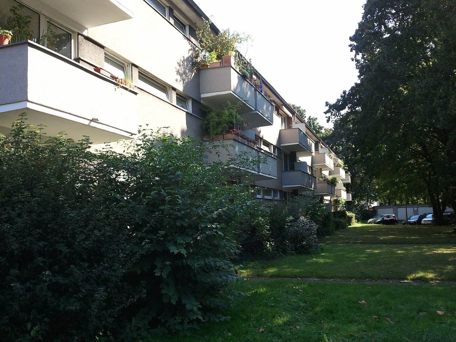 Wohnzeile in Köln-Niehl mit begrünten Balkonen und Rasenfläche davor