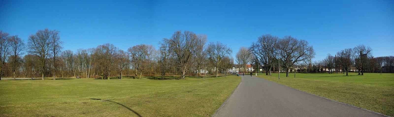 Panorama des Vorgebirgsparks in Köln: weite Rasenfläche mit altem Baumbestand, ein Weg führt an Wohnhäusern vorbei