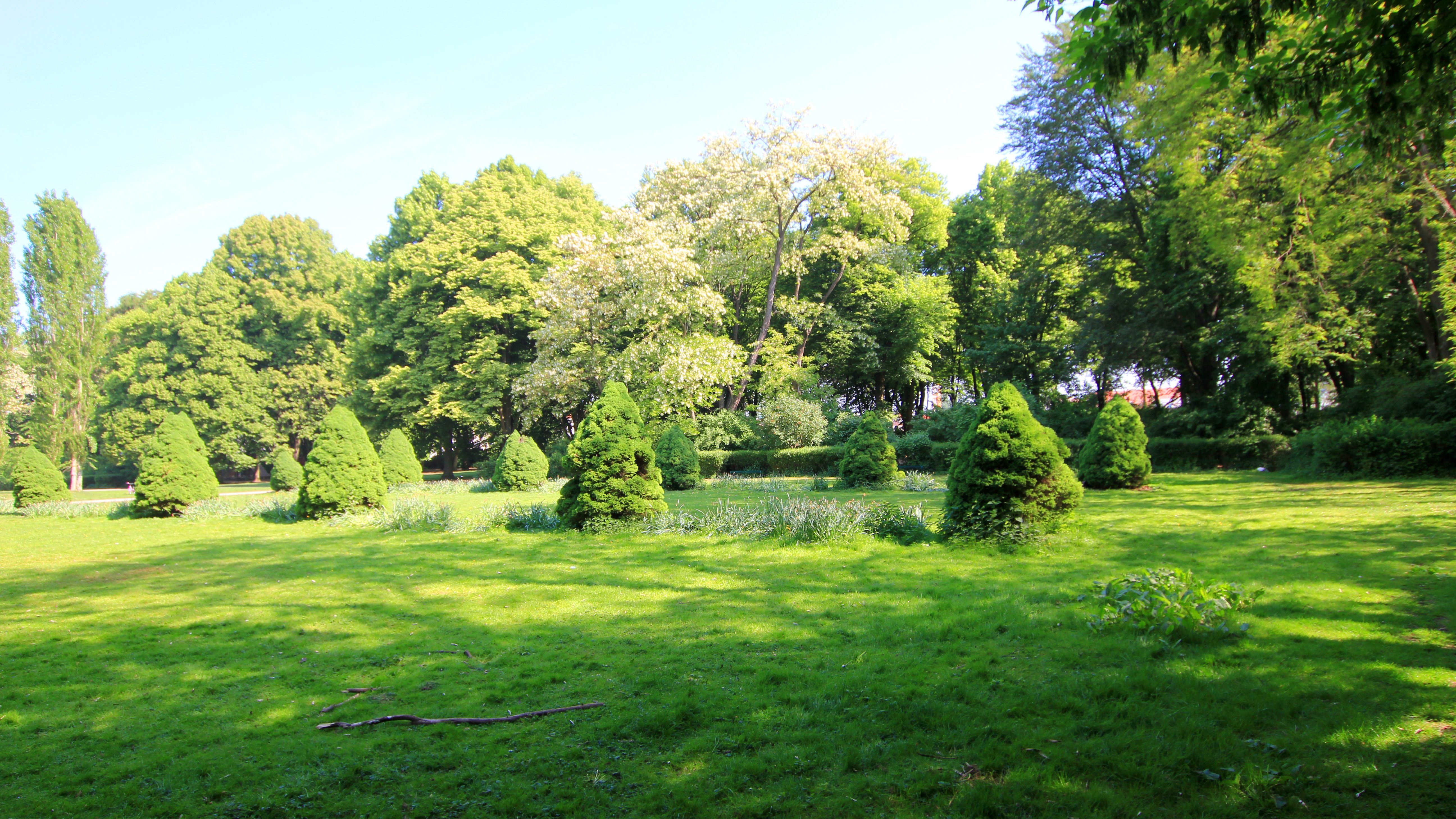 Wiese und alter Baumbestand im Beethovenpark in Köln-Sülz