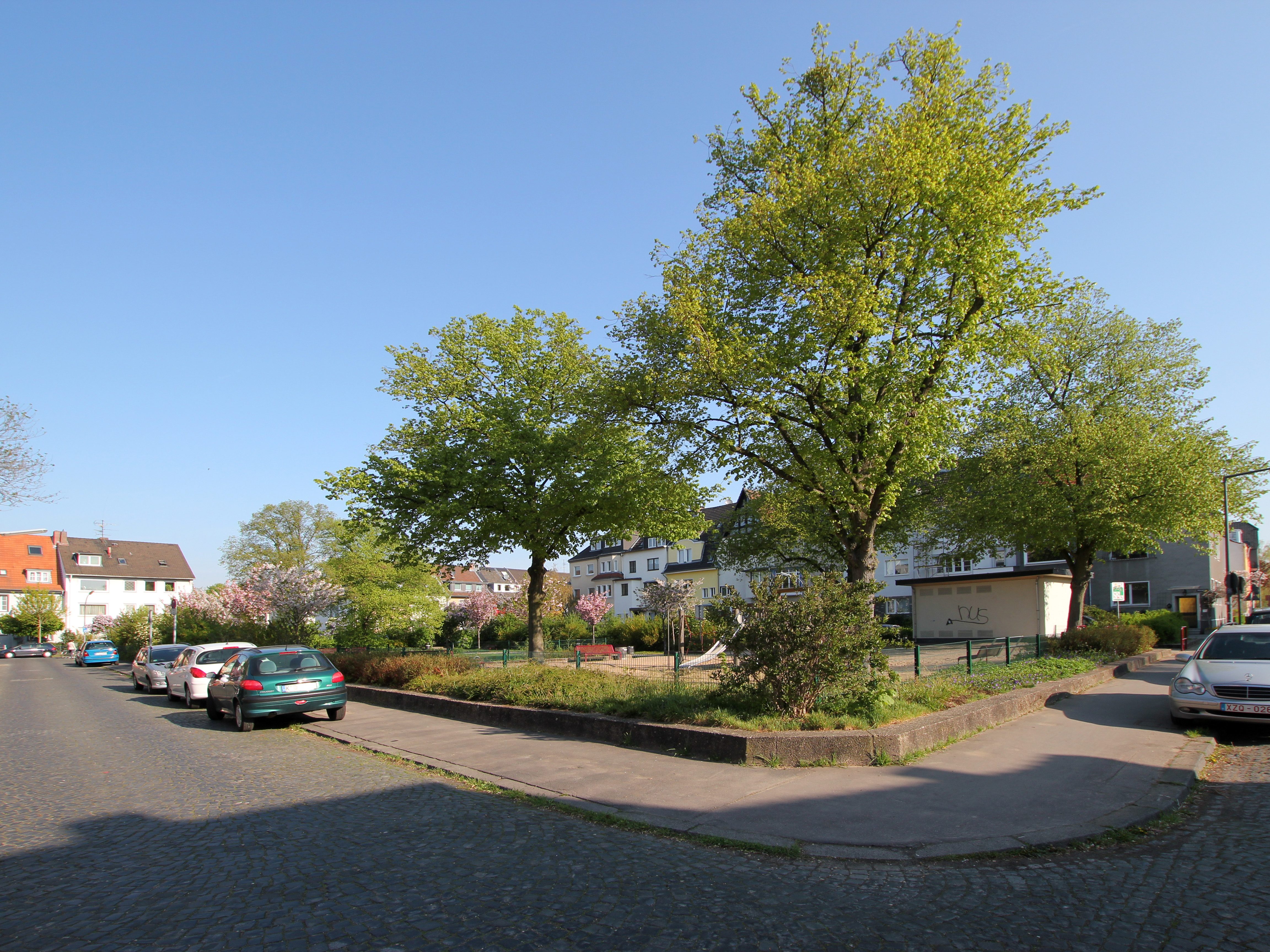Begrünte Anlage am Asbergplatz in Köln-Sülz