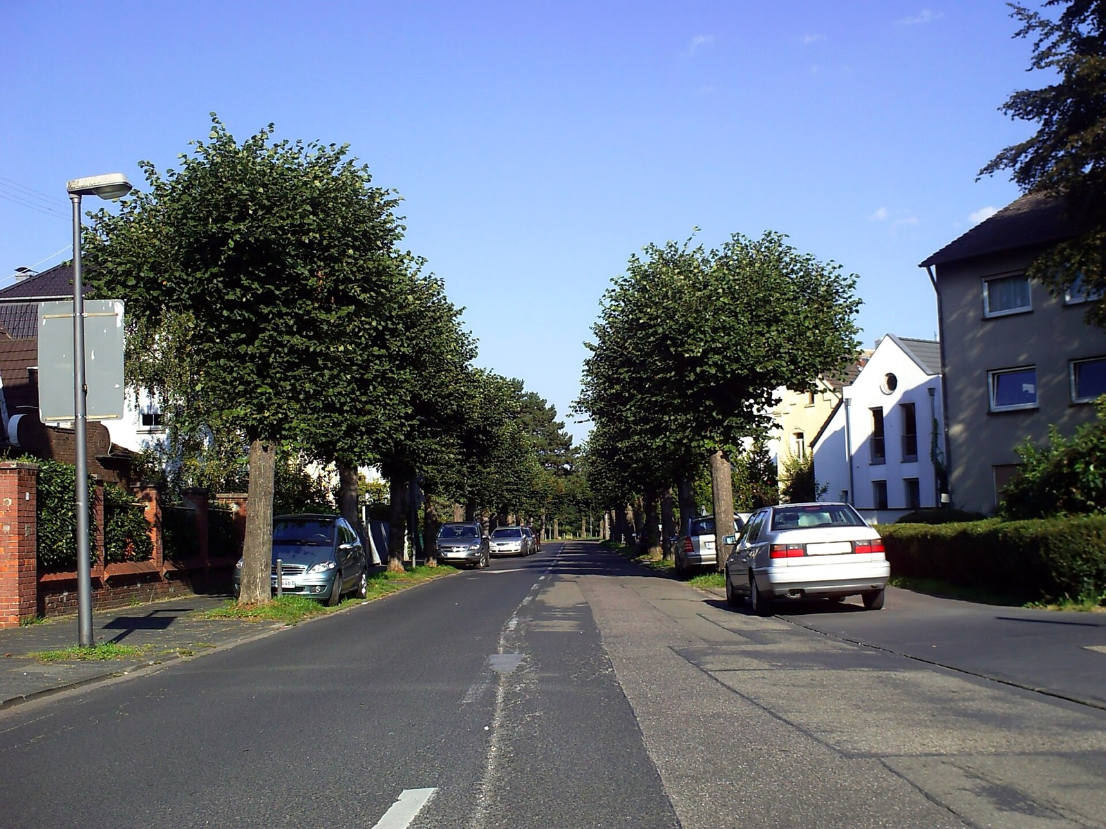 Baumbestandene Wohnstraße in Köln-Sürth mit Ein- und Mehrfamilienhäusern unterschiedlicher Baujahre