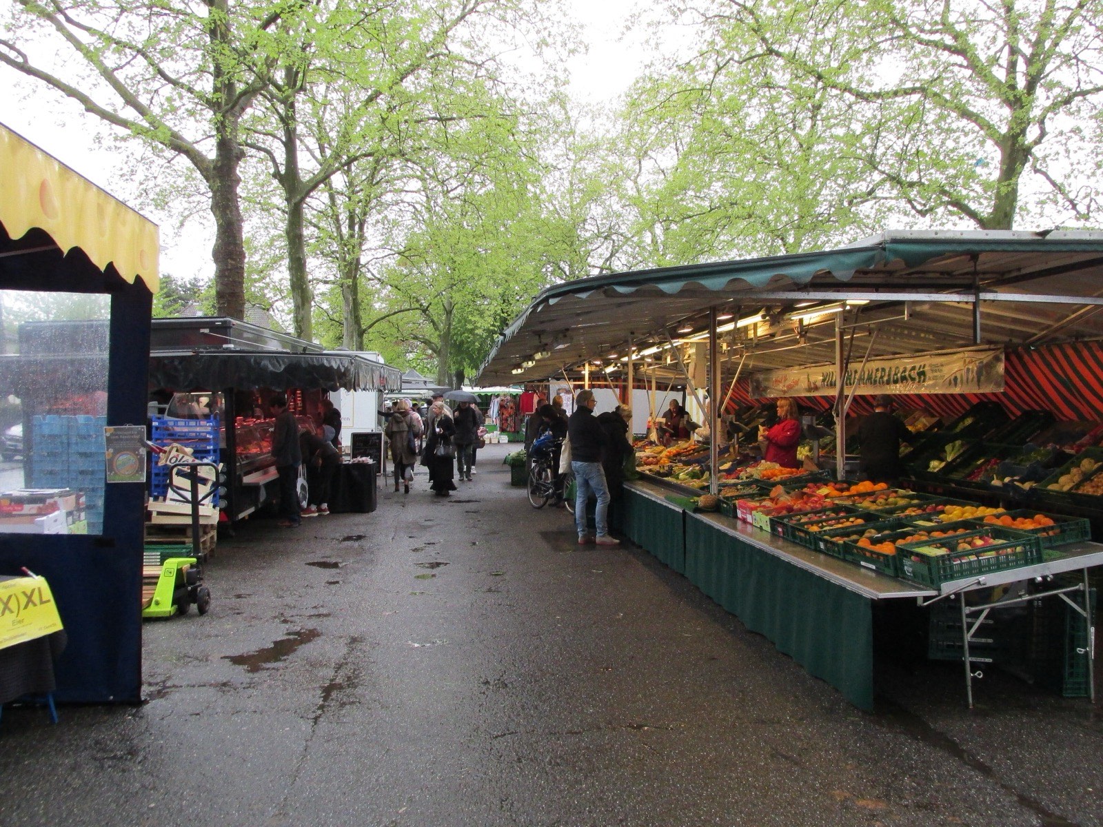 Wochenmarkt am Emil-Schreiterer-Platz in Köln-Weiden mit Marktständen unter alten Platanen