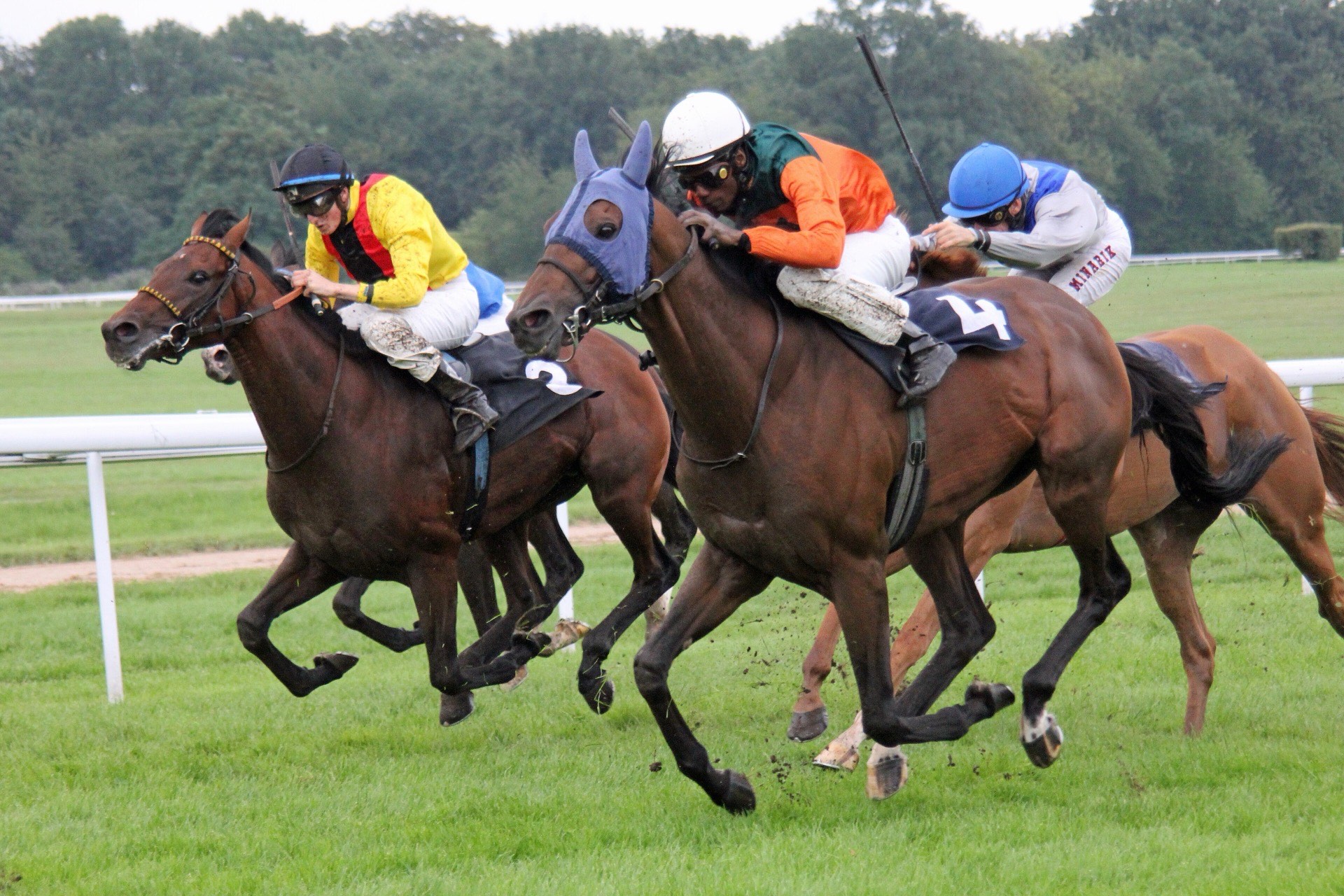 Galopprennen auf der Rennbahn in Köln-Weidenpesch, drei Pferde mit Jockeys im Zielbereich