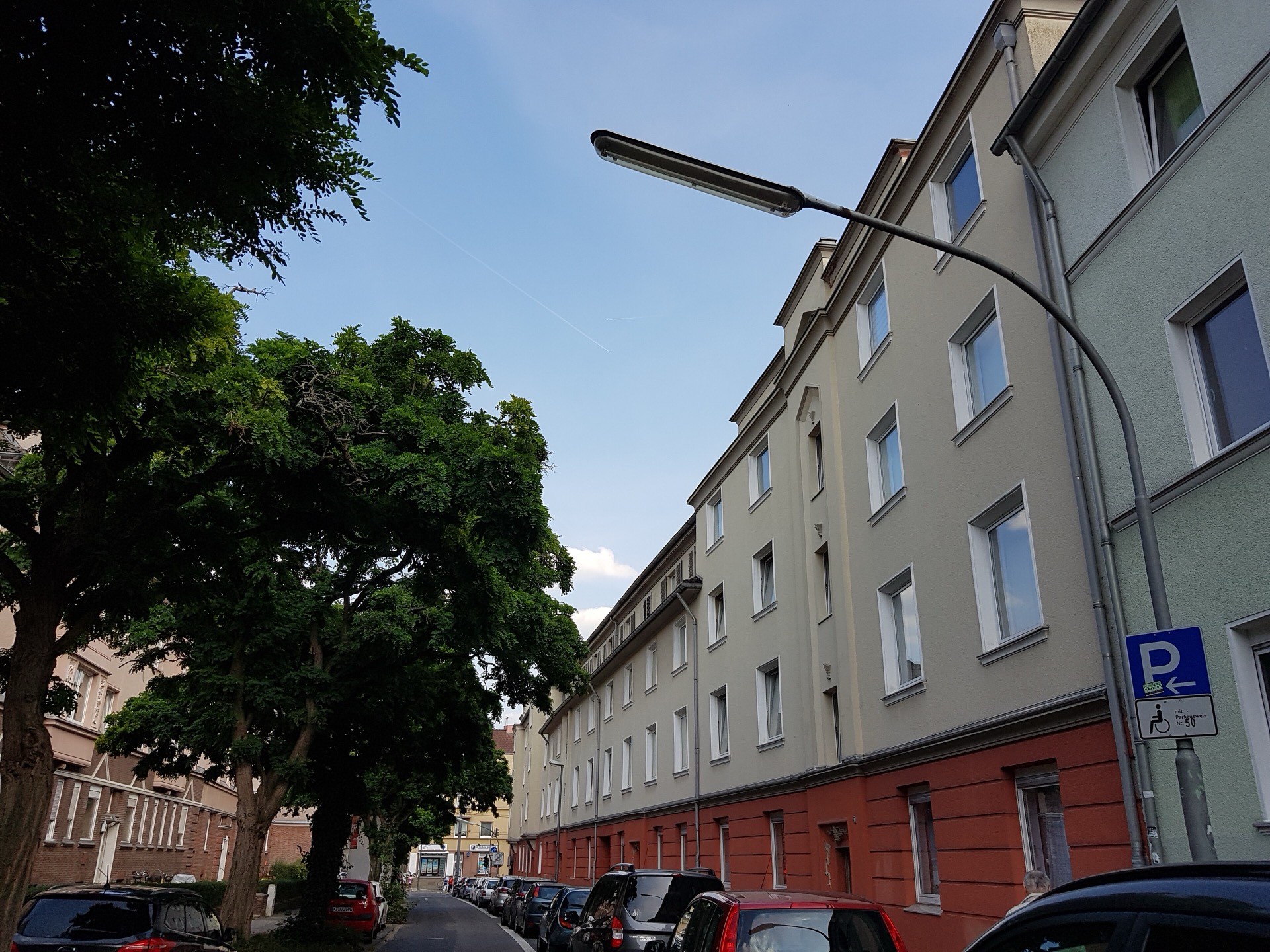 Wohnzeile in der Roßbachstraße in Köln-Weidenpesch mit altem Baumbestand an der Straße