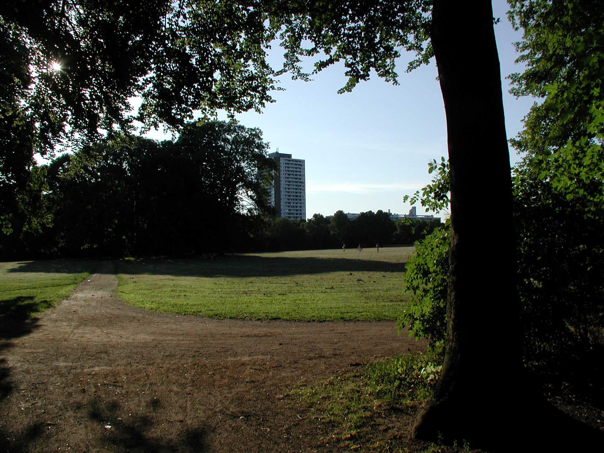 Wiese und Baumbestand im Vorgebirgspark in Köln-Zollstock